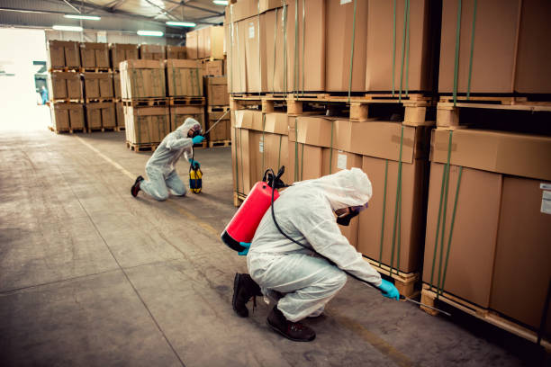 Best Wasp Removal Services  in Wytheville, VA