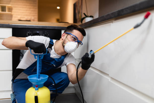 Best Pest Removal Services  in Wytheville, VA