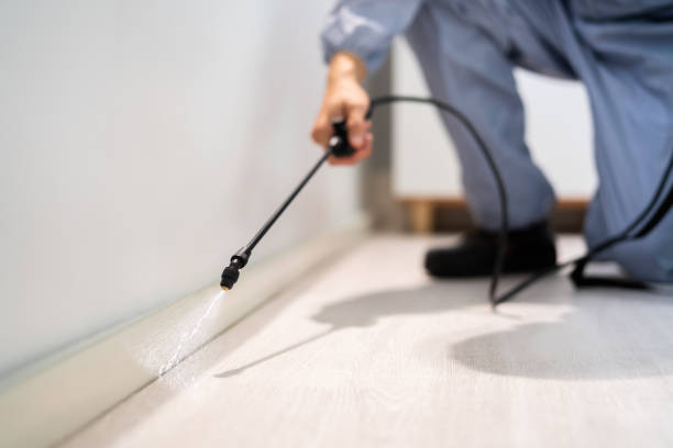Pest Prevention Services in Wytheville, VA