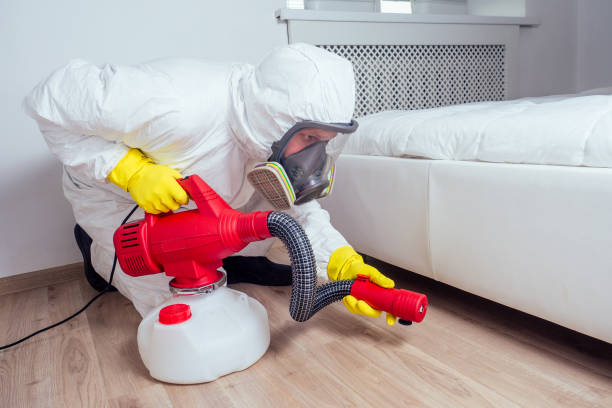 Best Mosquito Control Services  in Wytheville, VA