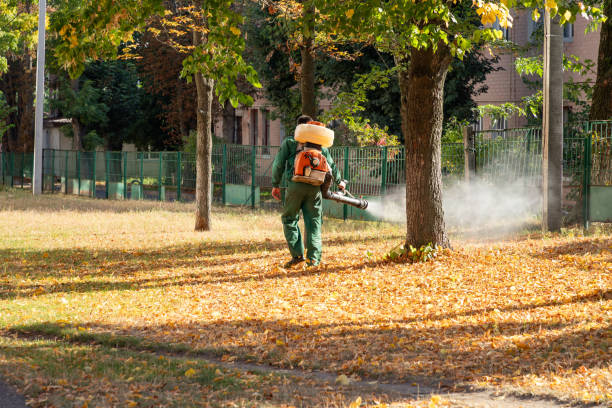 Best Emergency Pest Control  in Wytheville, VA